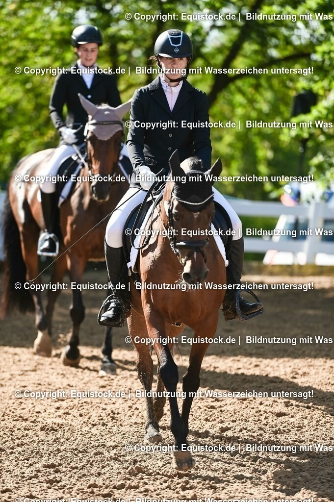 20230716_04_Dressurreiterprüfung Kl.A_0105 | equistock
