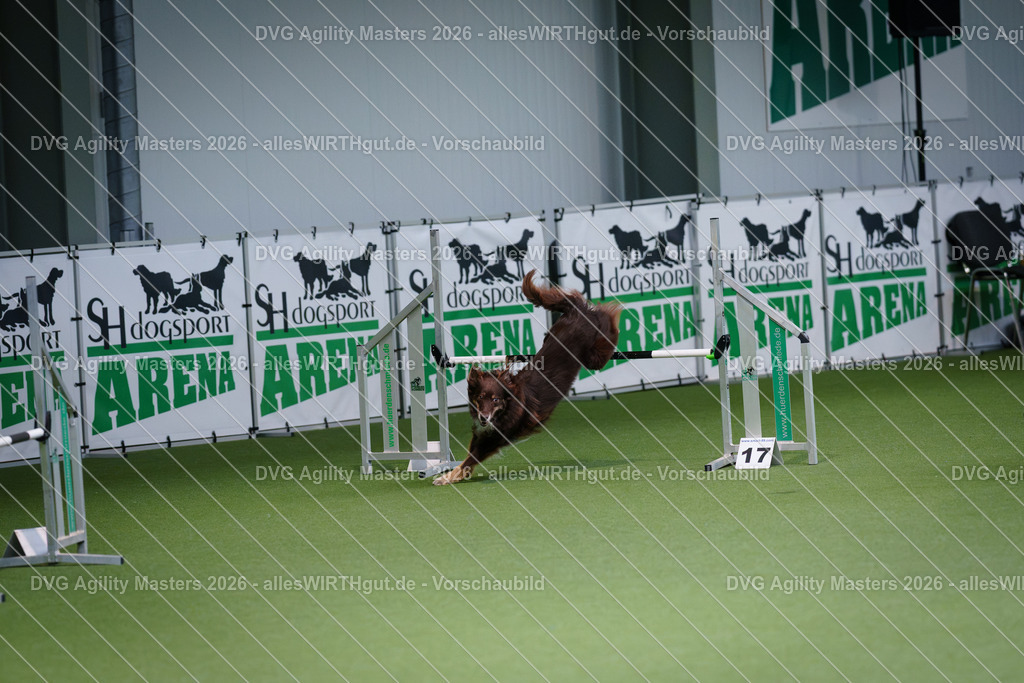 allesWIRTHgut_Tierfotografie-DVG_Agility_Masters_2026-10_08-7R509987 | Professionelle Tierfotografie in Mönchengladbach von Daniel Wirth (allesWIRTHgut). Liebevolle & natürliche Bilder von Hunden & Katzen für unvergessliche Erinnerungen.