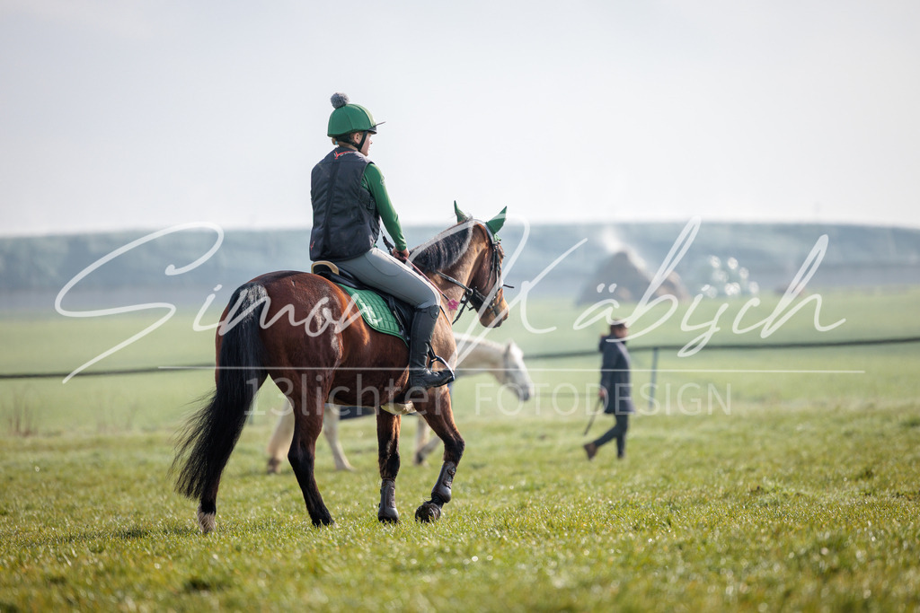 20260329-_3LI3300 | Tierfotografie Pferde, Hunde, Katzen, Haustiere.
Turnierfotografie Reitturniere, Reiten, Springreiten, Dressur in Hanau, dem Main-Kinzig-Kreis und dem Rhein-Main- Gebiet um Frankfurt
