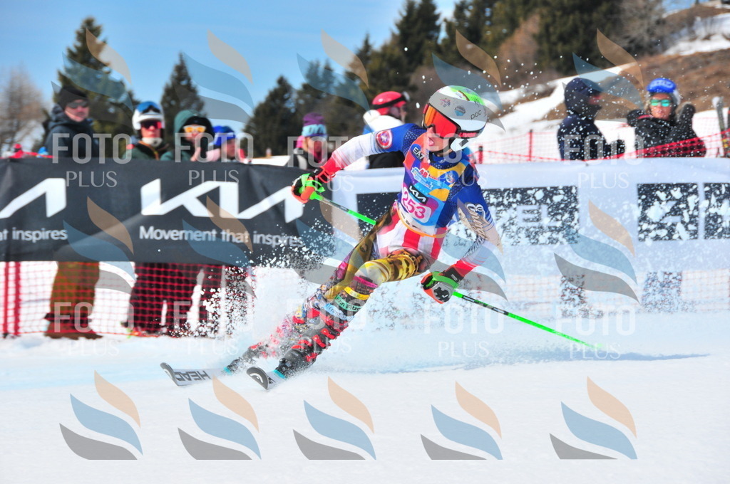 DSC_6112 | holidayphoto