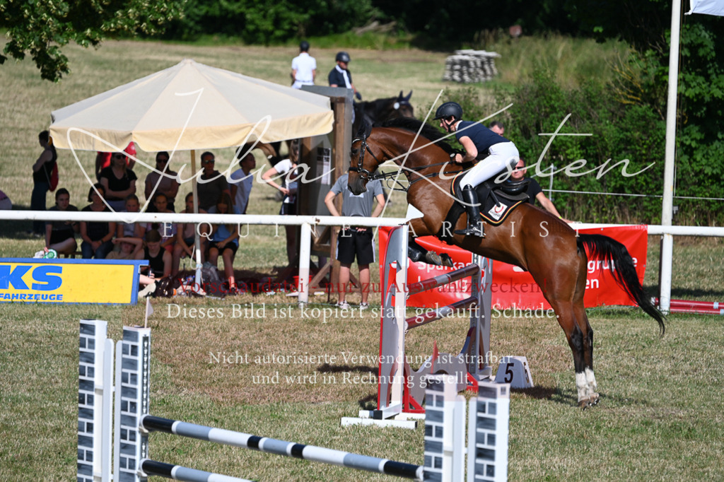 DSC_2204 | Pferde- und Turnierfotografie in Westsachsen. Pferdeportraits, Auftragszeichnungen und intuitive Kunst.