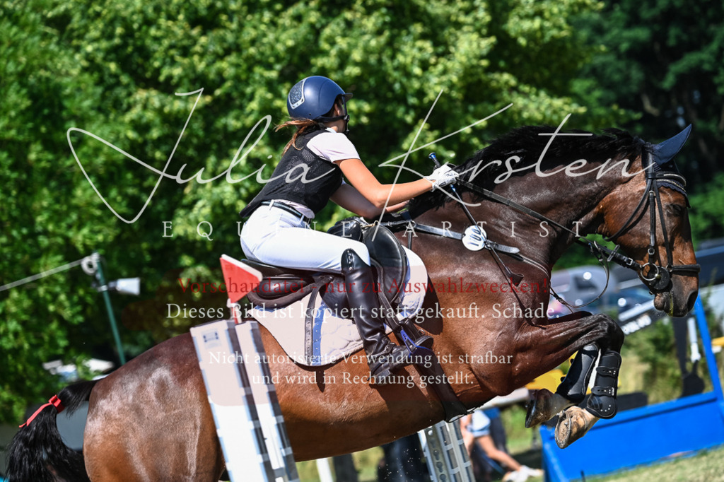 DSC_1383 | Pferde- und Turnierfotografie in Westsachsen. Pferdeportraits, Auftragszeichnungen und intuitive Kunst.