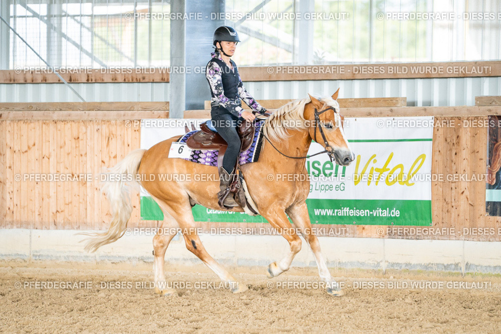 DSC09133 | Pferdegrafie