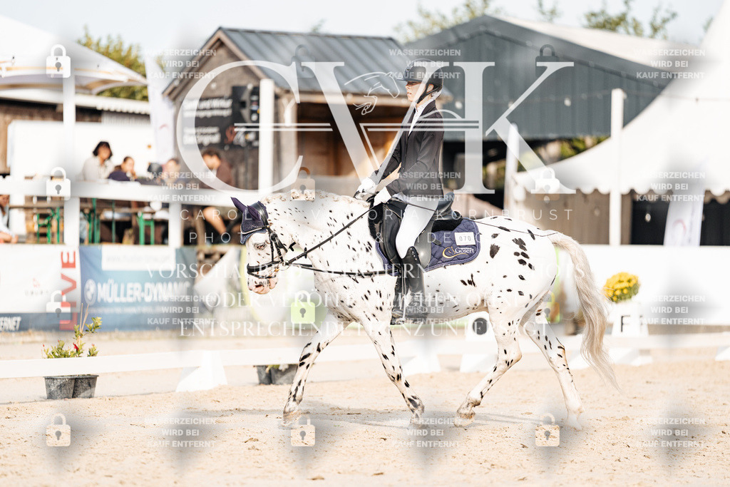 CK904449 | Turnierfotografie Pferdefotografie Trier Rheinland-Pfalz Pferdesport Reitsport Tierfotografie Sportfotografie Pferdevideo Pferdevideografie Equestrianvideography equestrianphotography  - Realisiert mit Pictrs.com