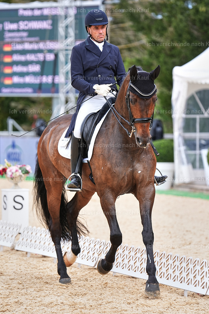 11-226-Dressur S___-Marixx-1736 | working equitationturnier fotograf videograf stoibphotography marixx film working equitation deutschland reitsport turnierfotografie eventfotografie equestrian events