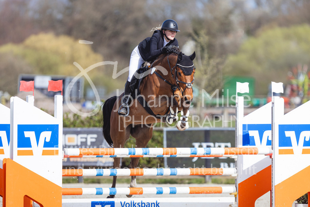 260404_Fruehlingsfest_Stil-L1-532 | Deine schönsten Turniermomente als professionelle Fotos! Entdecke hochwertige Pferdesport-Fotografie im Online-Shop. Jetzt Fotos finden & bestellen!