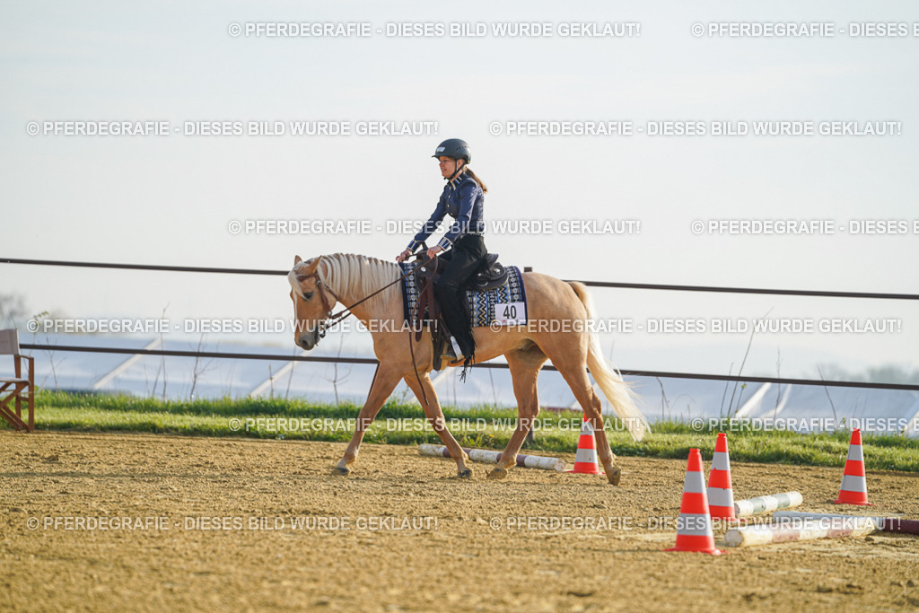 DSC09995 | Pferdegrafie