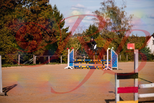 2026_10_03_Siefer-Hof_171033_Z81_07307869 | Professionelle Reitsport-, Turnier- und Eventfotografie von Robert Broda. Galerien mit ausgewählten und bearbeiteten Bildern direkt online ansehen und bestellen.