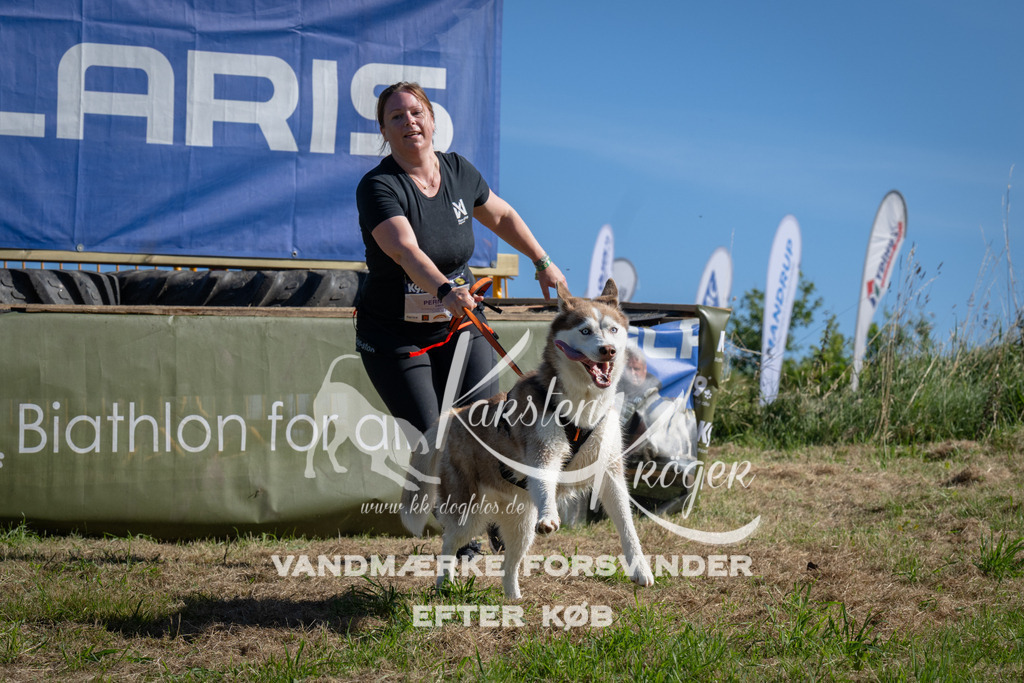 1007_ZZ97608 | kk-dogfotos