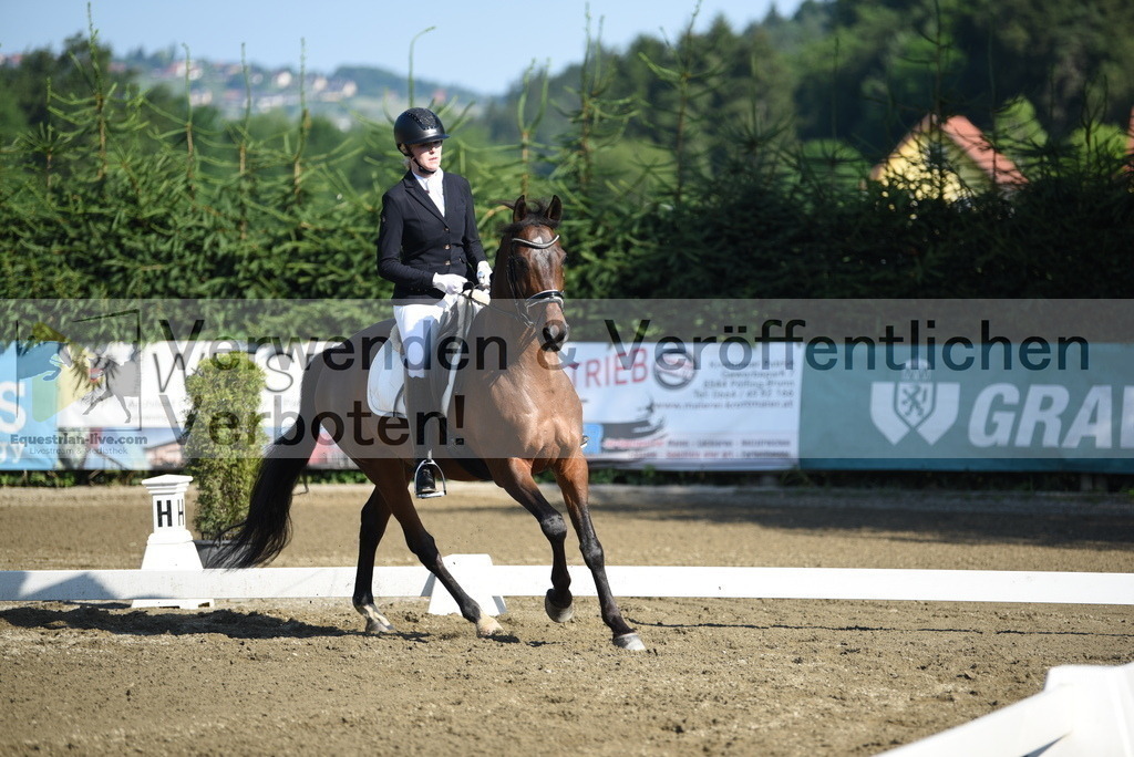 DSC_7160 | equestrian-live-com
