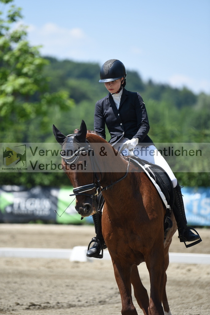 DSC_0896 | equestrian-live-com