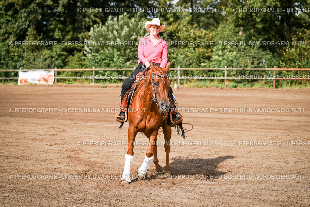 DSC09351 | Pferdegrafie