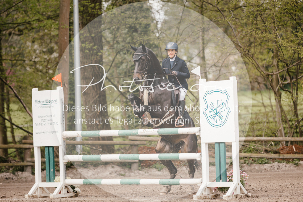 3I6A4281 | Stimmungsvolle Portraits und Reitsportfotografie im Ruhrgebiet und im Münsterland.

Pferdefotografie, Hundefotografie, Tierfotografie, Reportagen, Portraits von Tier und Mensch, Turnierfotografie in Bochum, Recklinghausen, Marl, Haltern am See, Dülmen.. - Realisiert mit Pictrs.com