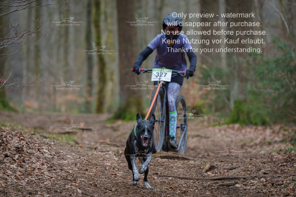 Scooter_So-99 | stephaniefillaphotographie - Realisiert mit Pictrs.com