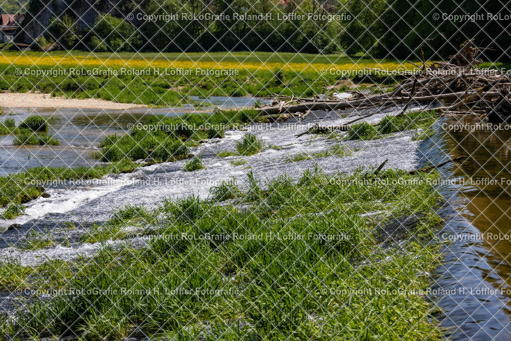 Donau-Donautal-16 | IPTC Infos - Realisiert mit Pictrs.com