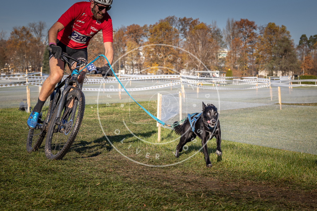 CaniXpix_0L8A4678 | Hundefotografie, Tierfotograf, Pfotenfotografie, Fotoshooting Hund, Hunde Portrait, Hundesport, Hundeportraits, Heideshooting, Hunde, Sportfotograf, Hundefotograf, Turnierhundsport, THS,  - Realisiert mit Pictrs.com