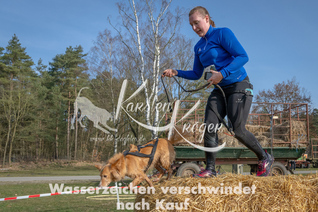 _ZZ90204 | kk-dogfotos