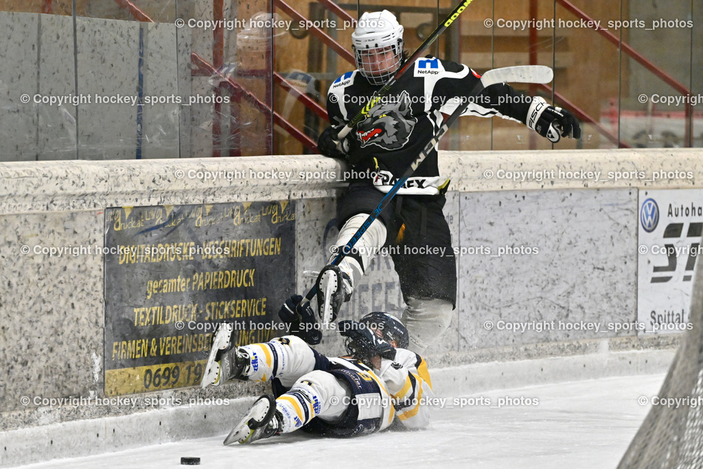 EC Tigers Paternion vs. Tarco Wölfe II | #9 Gratzer Julian EC Tigers Paternion, #4 Halbrainer Paul Tarco Wölfe II, EC Tigers Paternion vs. Tarco Wölfe II, EC Tigers Paternion vs. Tarco Wölfe II am 19.12.2024 in Spittal an der Drau (Eissportzentrum Spittal), Austria, (Photo by Bernd Stefan)