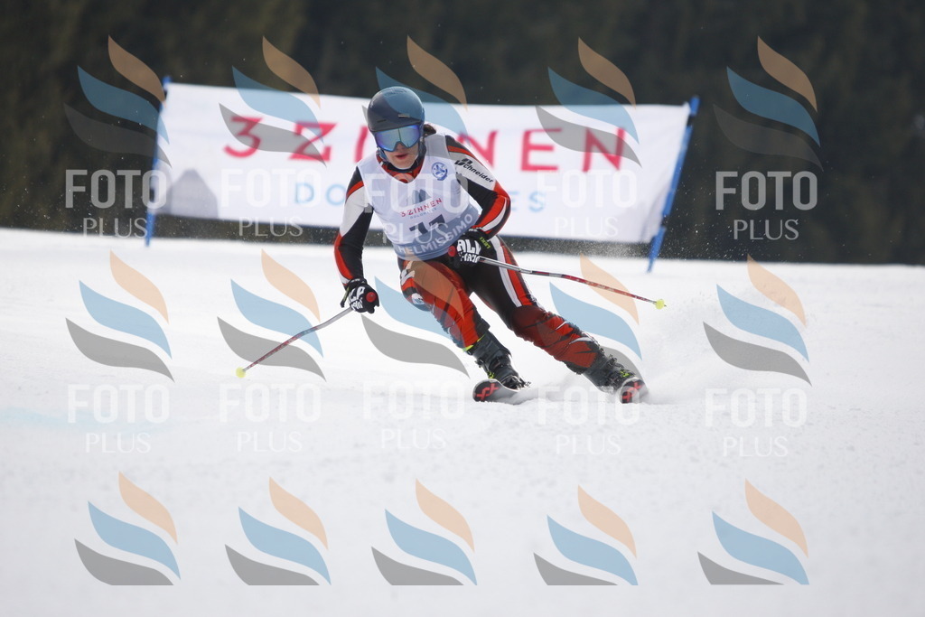 D4725 | holidayphoto