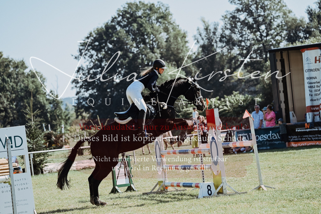 DSC_5775 | Pferde- und Turnierfotografie in Westsachsen. Pferdeportraits, Auftragszeichnungen und intuitive Kunst.
