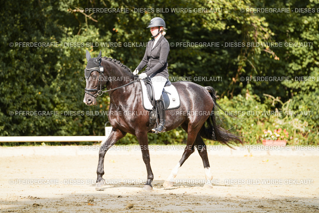 DSC02202 | Pferdegrafie