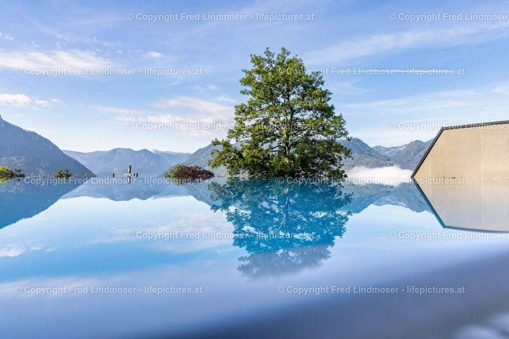 Montestyria_06092022--3 | Fotos und Fotoprodukte - Realisiert mit Pictrs.com