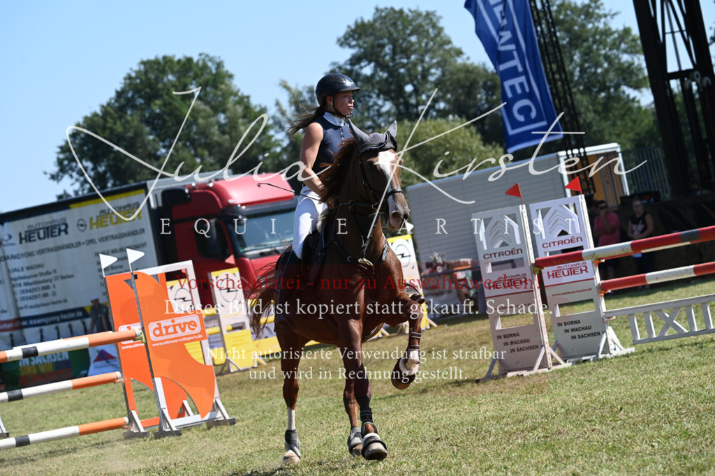 DSC_6463 | Pferde- und Turnierfotografie in Westsachsen. Pferdeportraits, Auftragszeichnungen und intuitive Kunst.