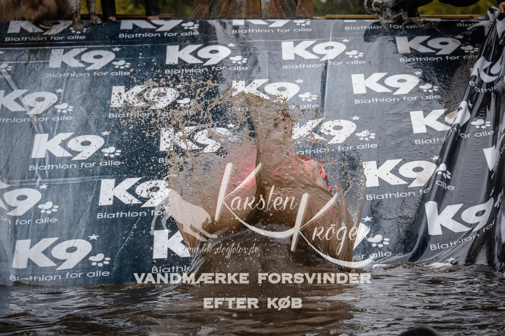 1210_ZZ94526 | kk-dogfotos