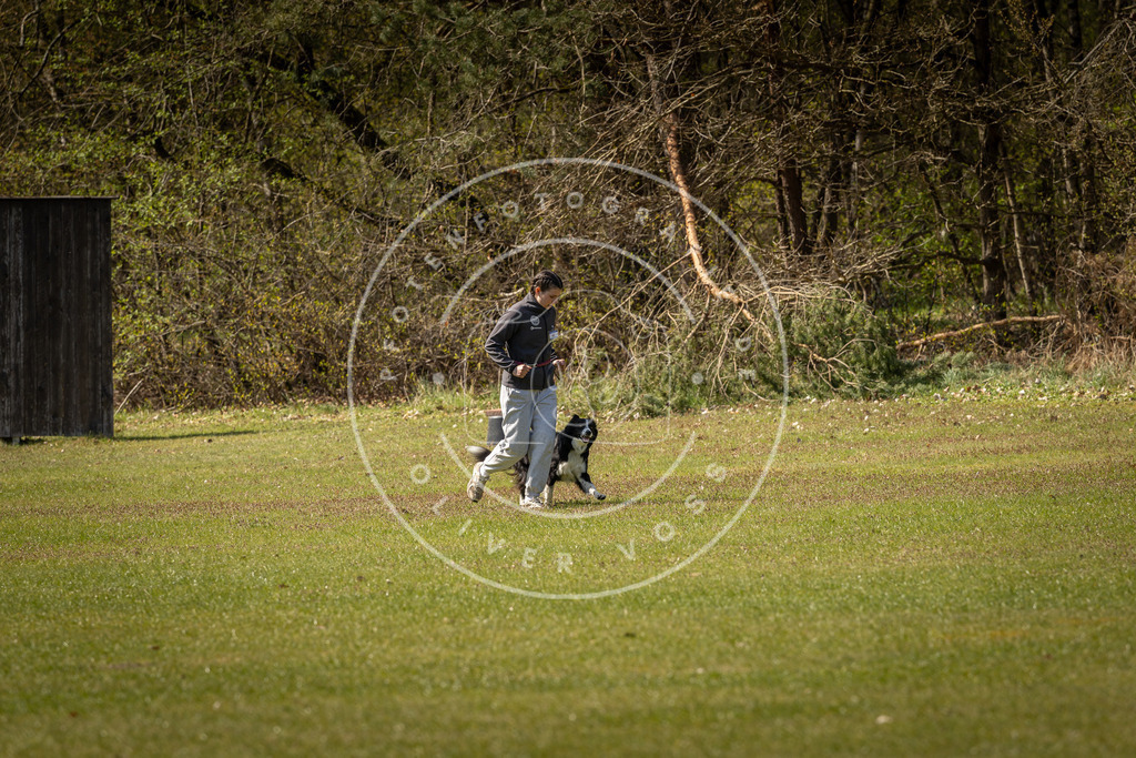 Pfotenfotografie_DV3A1002 | Hundefotografie, Tierfotograf, Pfotenfotografie, Fotoshooting Hund, Hunde Portrait, Hundesport, Hundeportraits, Heideshooting, Hunde, Sportfotograf, Hundefotograf, Turnierhundsport, THS,  - Realisiert mit Pictrs.com