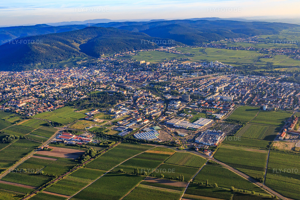 Luftbild: Stadtansicht aus Südosten am Morgen in Neustadt an der Weinstraße im Bundesland Rheinland-Pfalz in Deutschland. Foto: IMG_091636.jpg vom 10.07.2016 durch Werner Riehm/FLY-FOTO.de