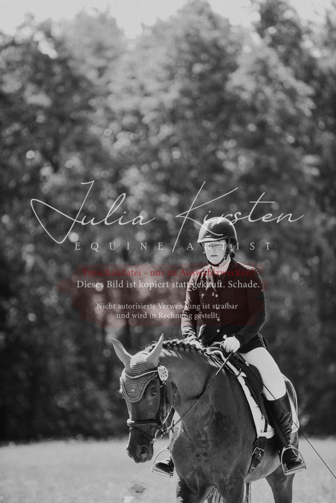 DSC_0549 | Pferde- und Turnierfotografie in Westsachsen. Pferdeportraits, Auftragszeichnungen und intuitive Kunst.