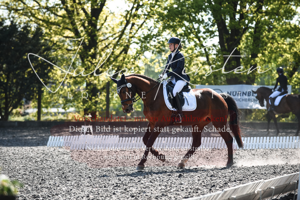 DSC_8903 | Pferde- und Turnierfotografie in Westsachsen. Pferdeportraits, Auftragszeichnungen und intuitive Kunst.