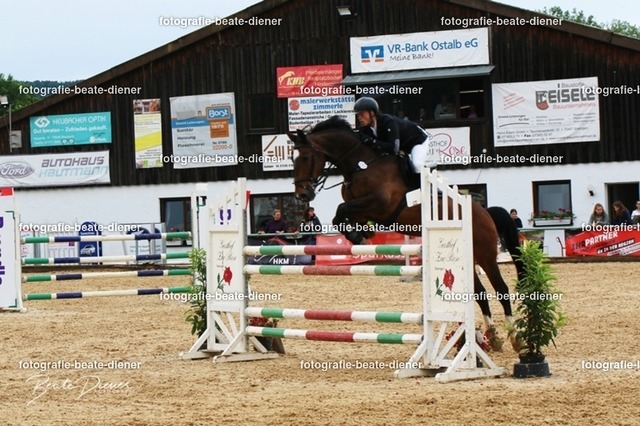 OHT0431 | Fotografie, Tiere, Hunde, Katzen, Pferde, Sportfotografie, Fotosession, Tierfotografie, Turnierfotografie, Fotografin, Fotograf - Realisiert mit Pictrs.com