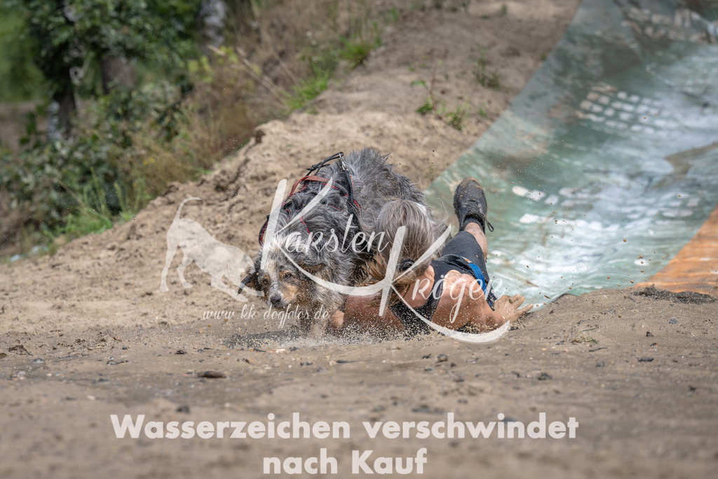 1242_ZZ93489 | kk-dogfotos