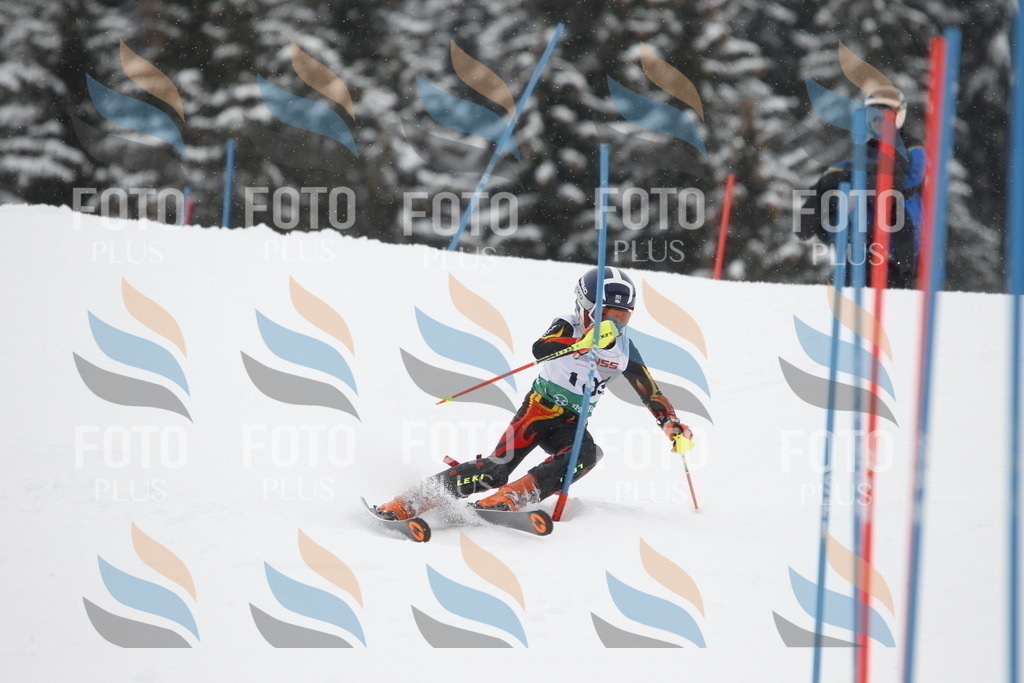 A2156 | holidayphoto