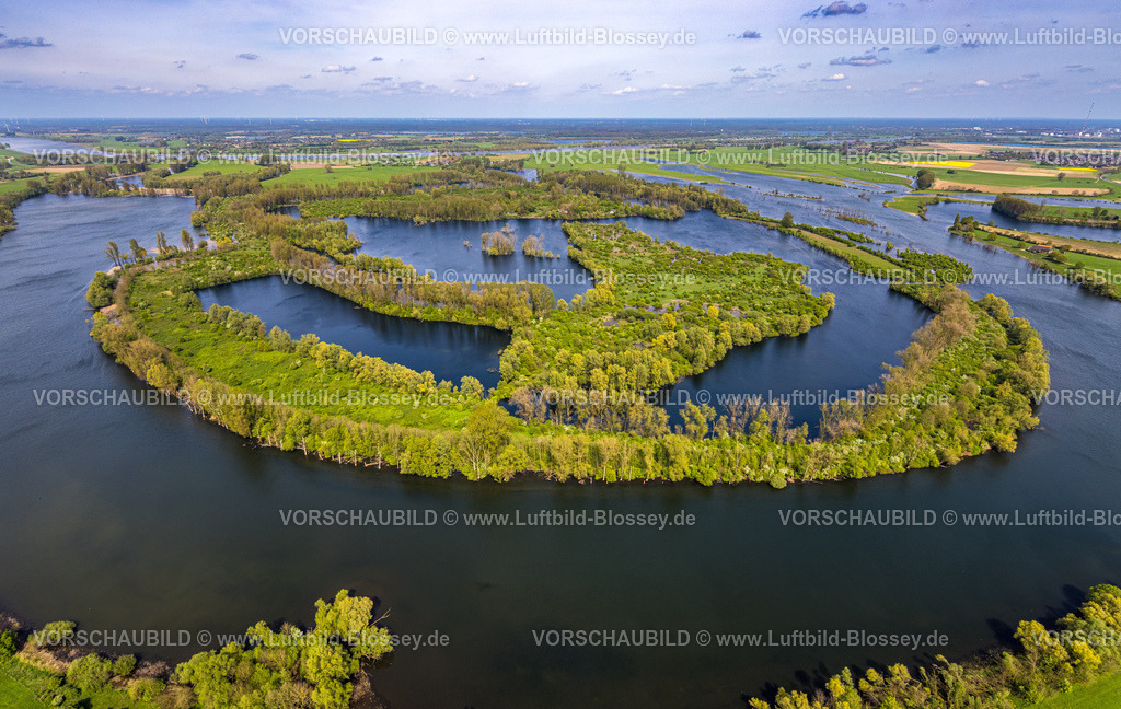 Xanten240402259BislicherInselAlterRhein | Luftbild, Alter Rhein und Bislicher Insel, Auenlandschaft  und NSG Naturschutzgebiet, Vogelschutzgebiet und Fernsicht, Lüttingen, Xanten, Niederrhein, Nordrhein-Westfalen, Deutschland