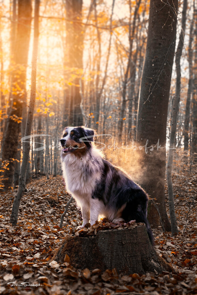 May_DSCF8798 | People- und Tierfotografie, Imageaufnahmen, Veranstaltungsfotografie und Wandbilder aus der Natur ★ Made in Germany ✔️ Druck + Downloads ✔️ Naturfotografie in Top Qualität ★ schneller Versand, weltweite Lieferung! - Realisiert mit Pictrs.com