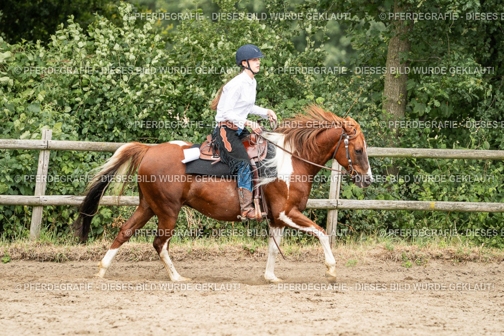 DSC03979 | Pferdegrafie