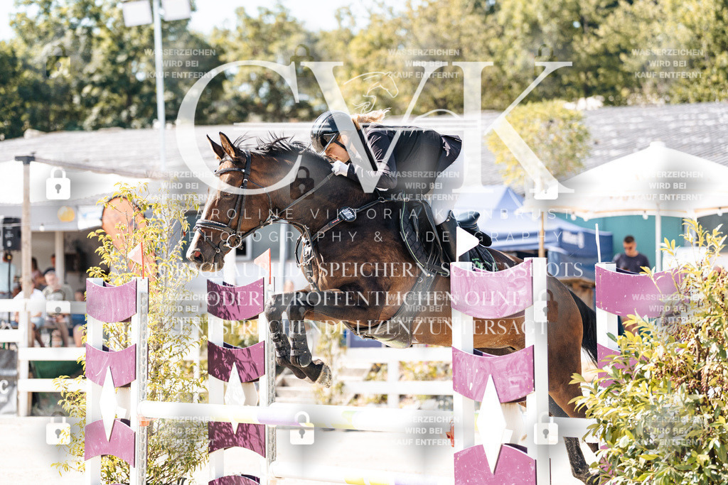 CK908397 | Turnierfotografie Pferdefotografie Trier Rheinland-Pfalz Pferdesport Reitsport Tierfotografie Sportfotografie Pferdevideo Pferdevideografie Equestrianvideography equestrianphotography  - Realisiert mit Pictrs.com