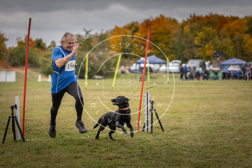 Pfotenfotografie_DV3A5702 | Hundefotografie, Tierfotograf, Pfotenfotografie, Fotoshooting Hund, Hunde Portrait, Hundesport, Hundeportraits, Heideshooting, Hunde, Sportfotograf, Hundefotograf, Turnierhundsport, THS,  - Realisiert mit Pictrs.com