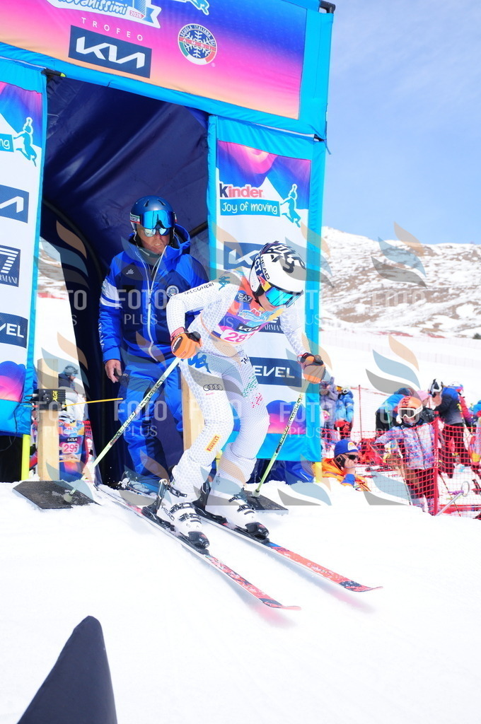 DSC_6495 | holidayphoto