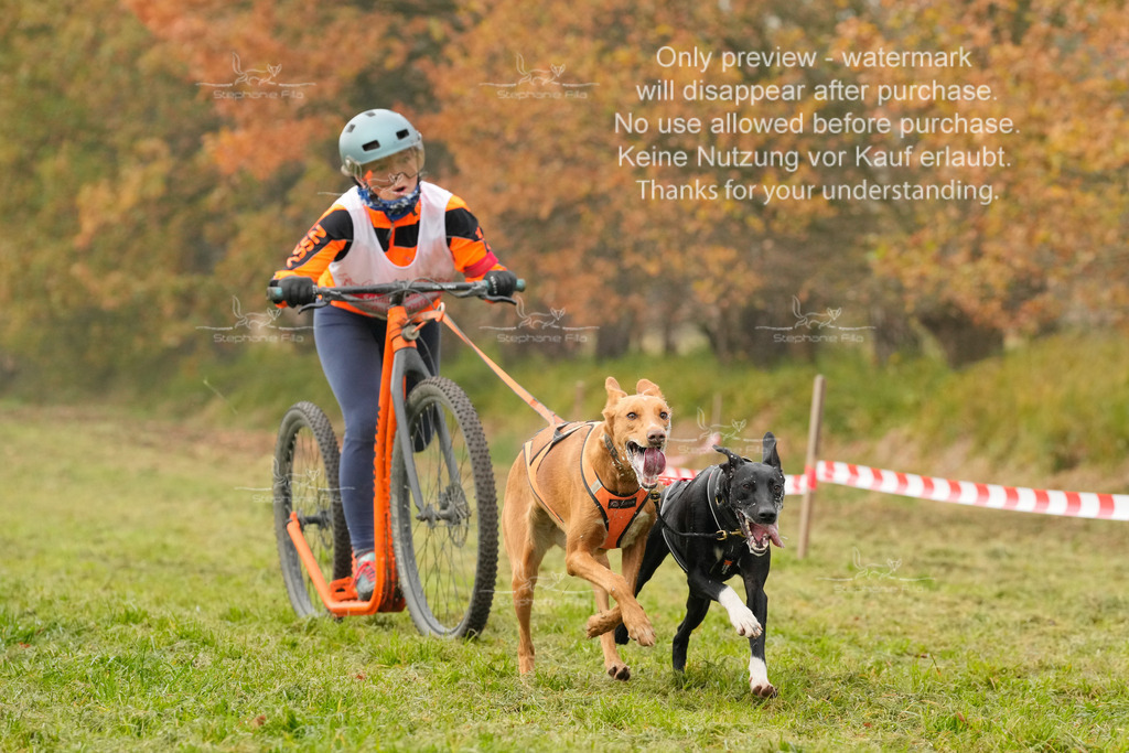 Visbeck_Sa_DS2DR2-17 | stephaniefillaphotographie - Realisiert mit Pictrs.com