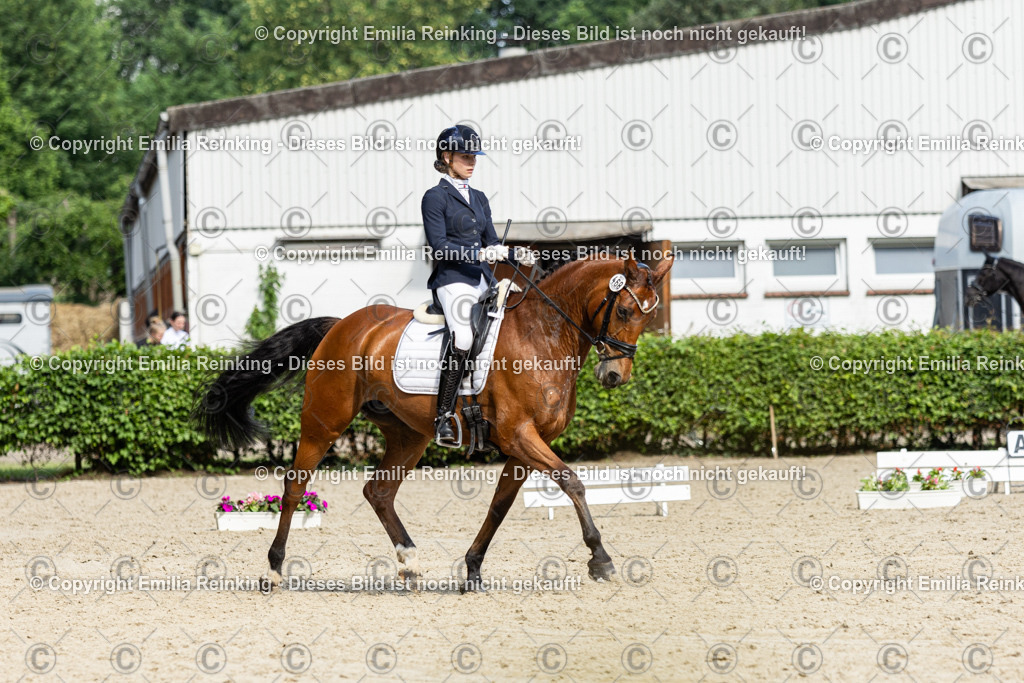 CL5A6211-2 | Emilia Reinking Fotografie - Realisiert mit Pictrs.com