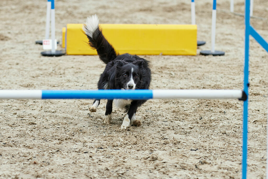 580A0207 | Peter Fridle Fotografie - Realisiert mit Pictrs.com