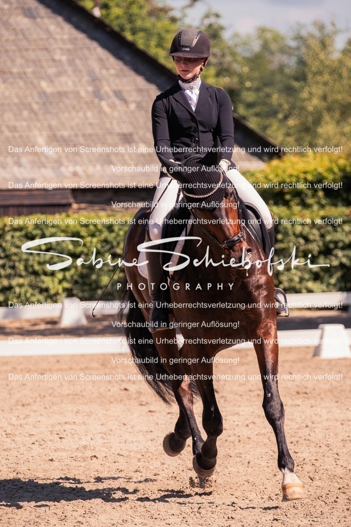 2025_05_31_DSCF3103 | People- und Tierfotografie, Imageaufnahmen, Veranstaltungsfotografie und Wandbilder aus der Natur ★ Made in Germany ✔️ Druck + Downloads ✔️ Naturfotografie in Top Qualität ★ schneller Versand, weltweite Lieferung! - Realisiert mit Pictrs.com