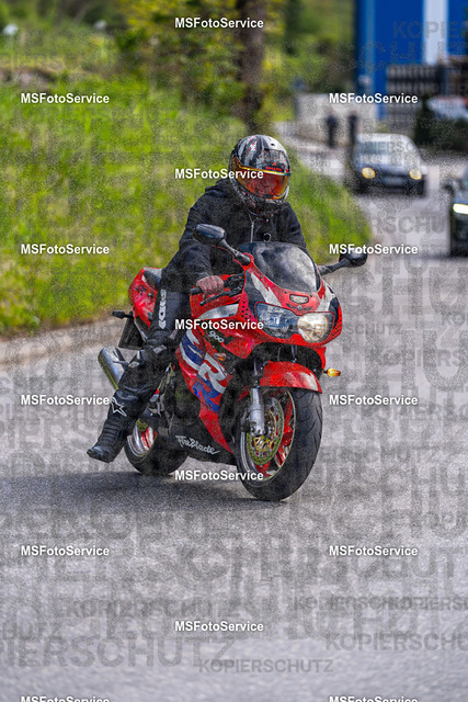 MSFotoService-423 | MSFotoService - Realisiert mit Pictrs.com