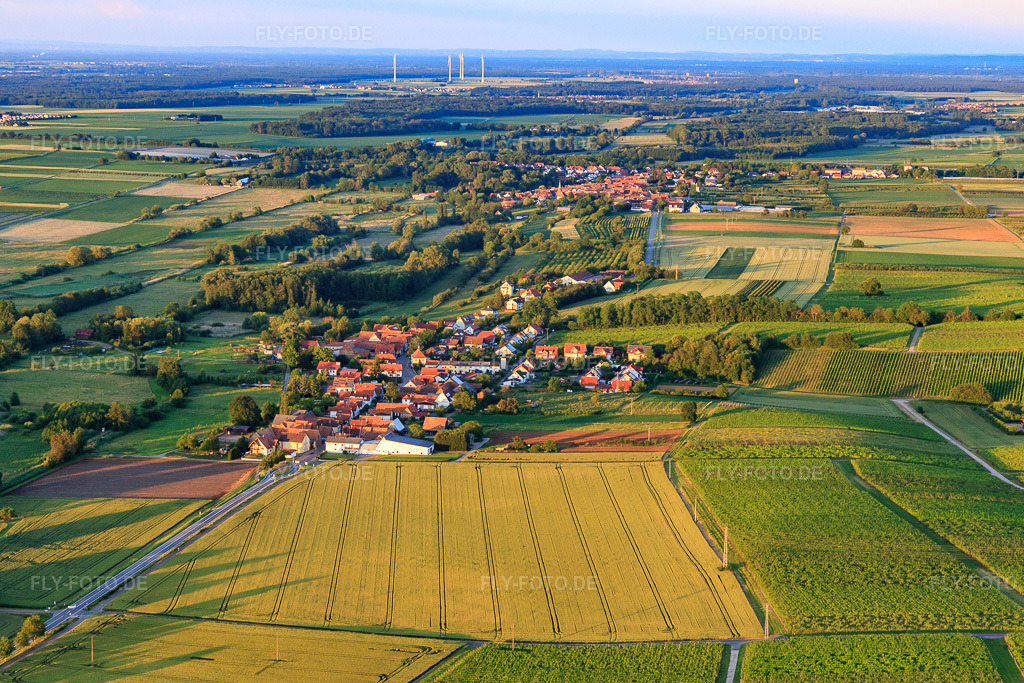 Luftbild: Ortsansicht von Westen in Hergersweiler im Bundesland Rheinland-Pfalz in Deutschland. Foto: IMG_115563.jpg vom 16.06.2019 durch Werner Riehm/FLY-FOTO.de
