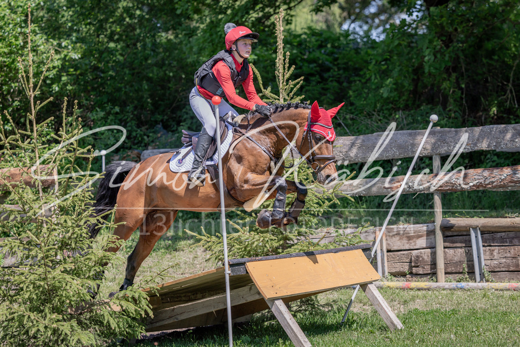 20260523-_3LI8908 | Tierfotografie Pferde, Hunde, Katzen, Haustiere.
Turnierfotografie Reitturniere, Reiten, Springreiten, Dressur in Hanau, dem Main-Kinzig-Kreis und dem Rhein-Main- Gebiet um Frankfurt
