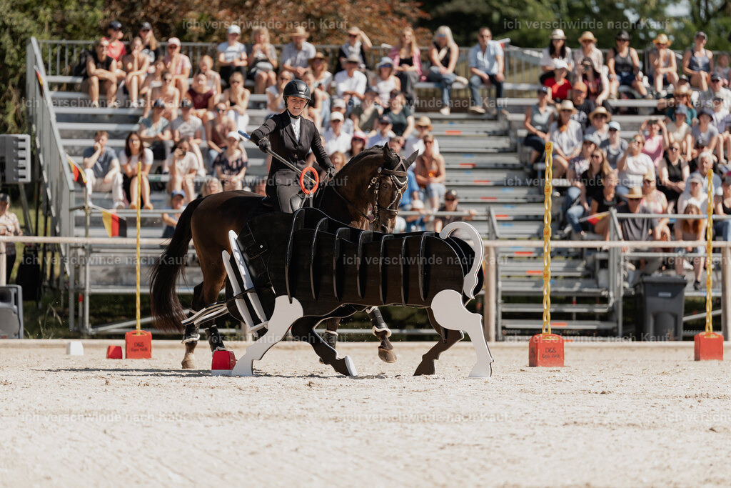 WE_SP_Stoib_309_PI2025_1485 | Pferd International München 2025