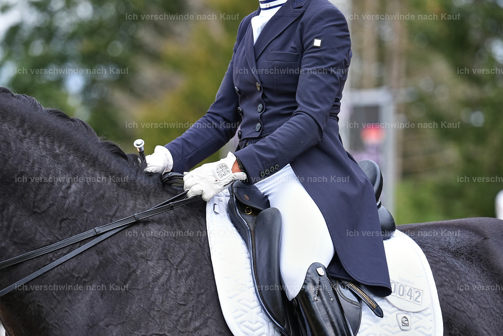 11-042-Dressur S___-StoibPH-1189 | working equitationturnier fotograf videograf stoibphotography marixx film working equitation deutschland reitsport turnierfotografie eventfotografie equestrian events
